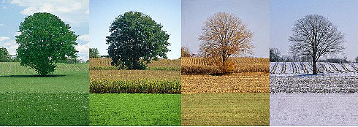 R星大作《GTA6》新截图泄露 展示海岸边惊人画面