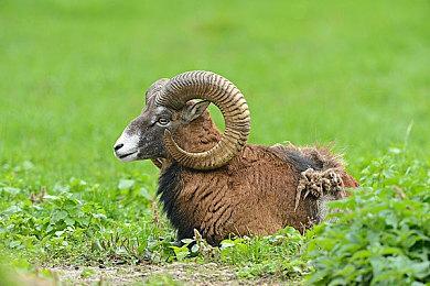 恐怖游戏《恐鬼症》更新 新增单人离线模式