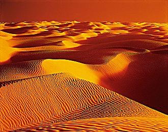 《双人成行》正式宣布登陆Switch 11月4日发售